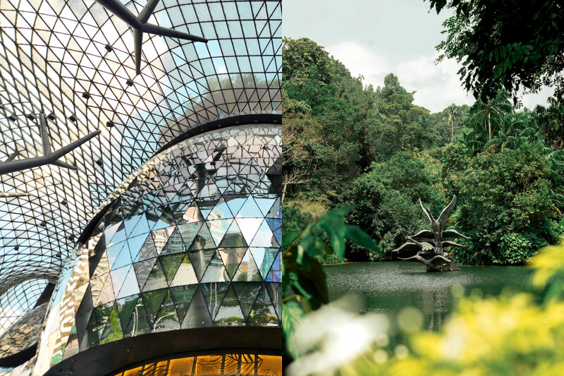 酒店地理位置優越鄰近「新加坡植物園」(Singapore Botanic Gardens)。 酒店地理位置優越鄰近「新加坡植物園」(Singapore Botanic Gardens)。