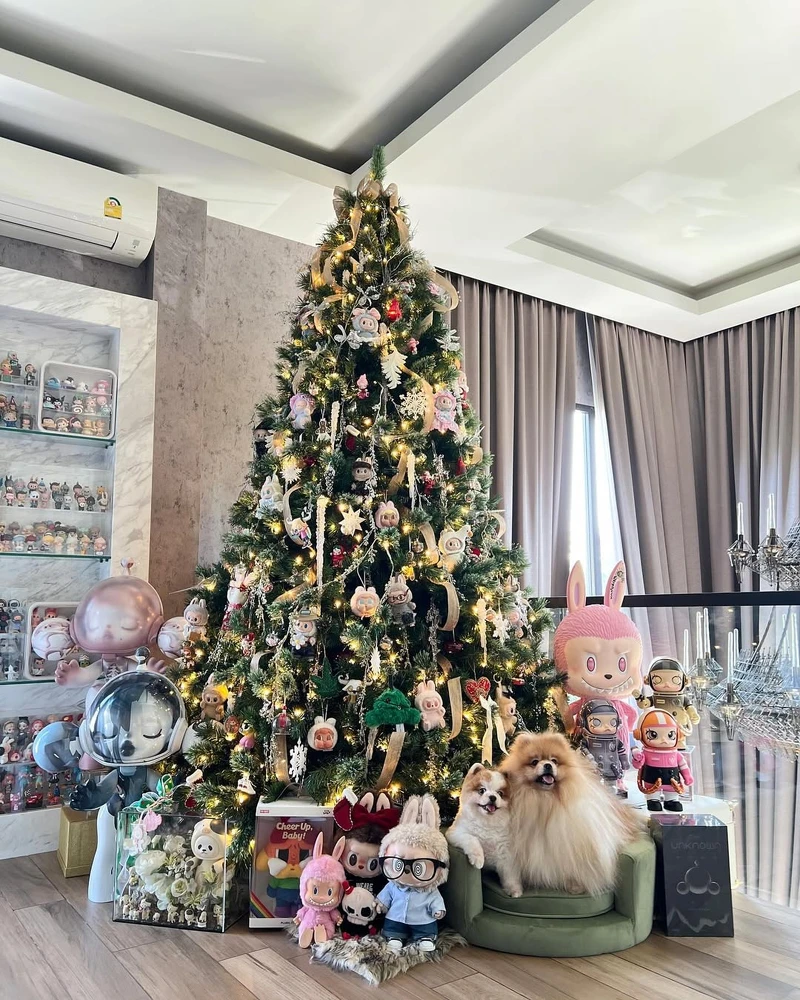 photo / instagram @chitthipbruschweiler