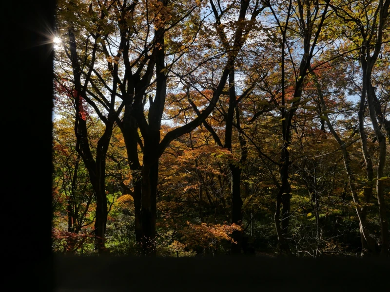 窗景自然美景相伴。