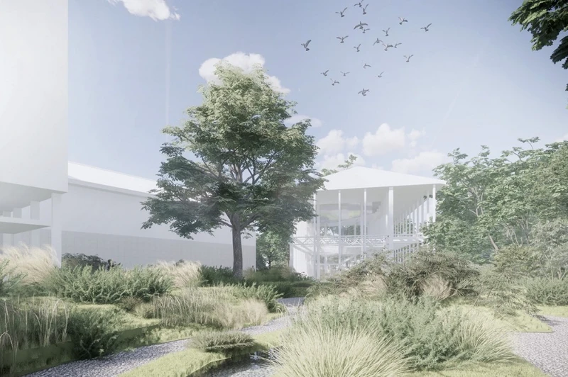 超過百年歷史的銀杏樹。 超過百年歷史的銀杏樹。