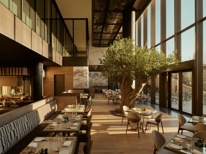 主要用餐區有著醒目高聳的橄欖樹。 主要用餐區有著醒目高聳的橄欖樹。