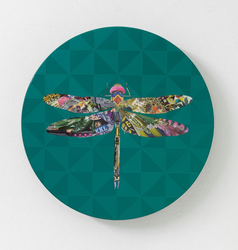 長尾洋｜Dragonfly