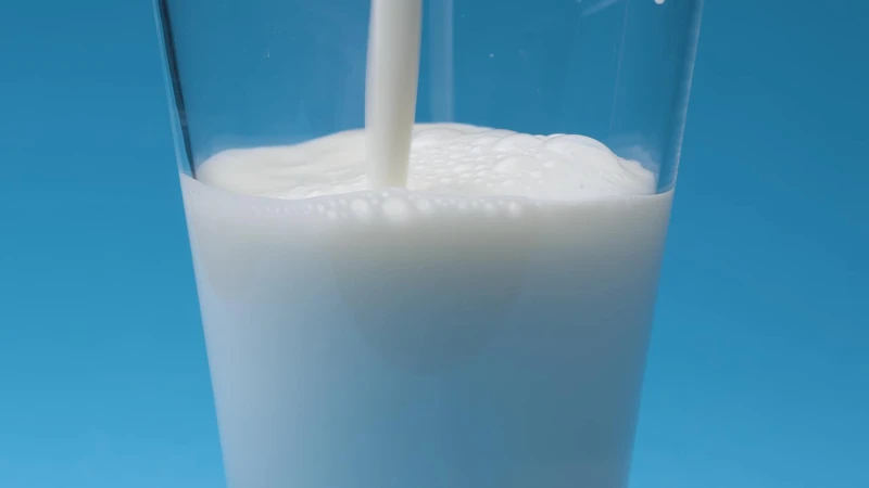 Photo / 塔羅耳語