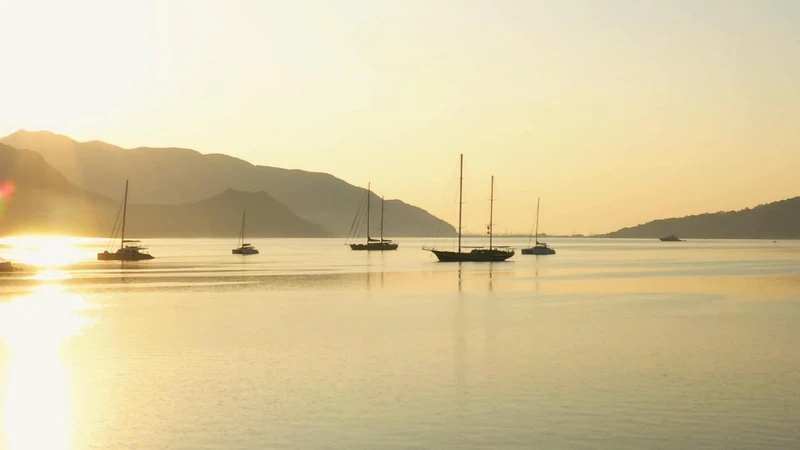 Photo / 塔羅耳語