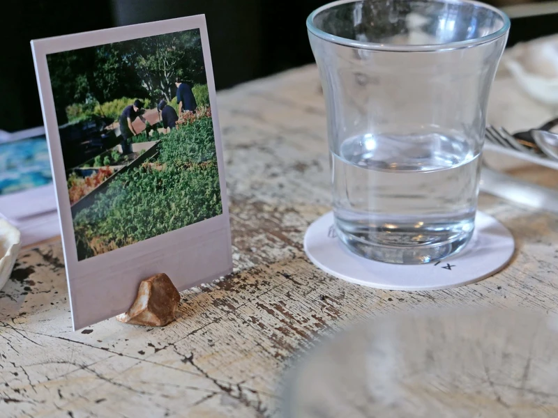 「Attica」的花園。 「Attica」的花園。