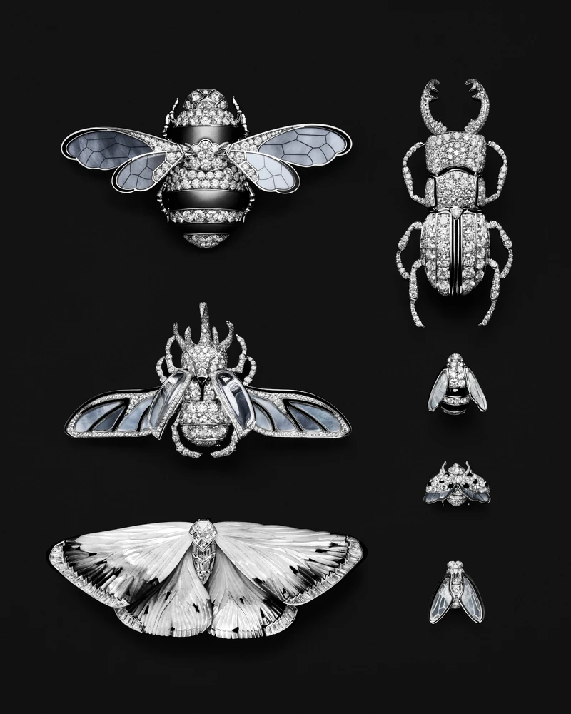 Boucheron「Untamed Nature（不羈自然）」高級珠寶系列 右下即為蒼蠅造型作品