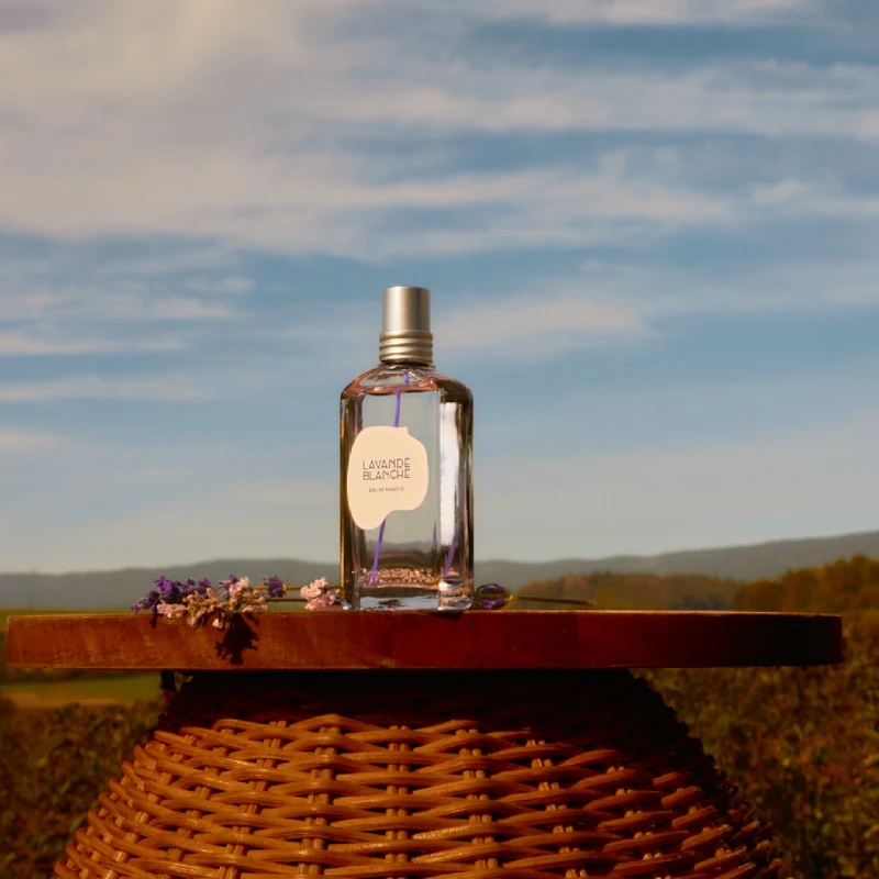 L’OCCITANE歐舒丹白薰衣草淡香水情境照。