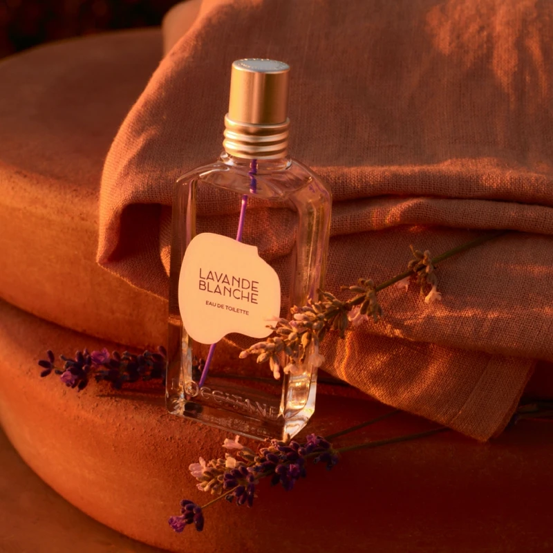 L’OCCITANE歐舒丹白薰衣草淡香水50ml，NT2,460