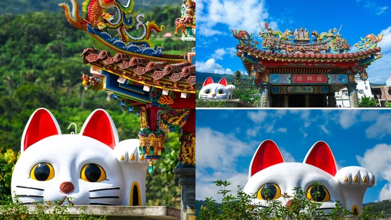 Photo／IG@tintinghi授權提供