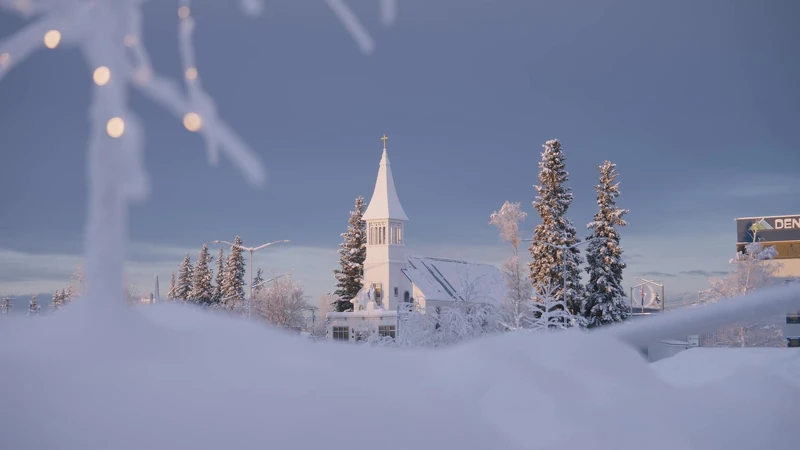 Photo / 塔羅耳語