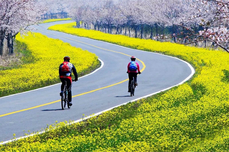 Photo/Visit Jeju官網。 Photo/Visit Jeju官網。