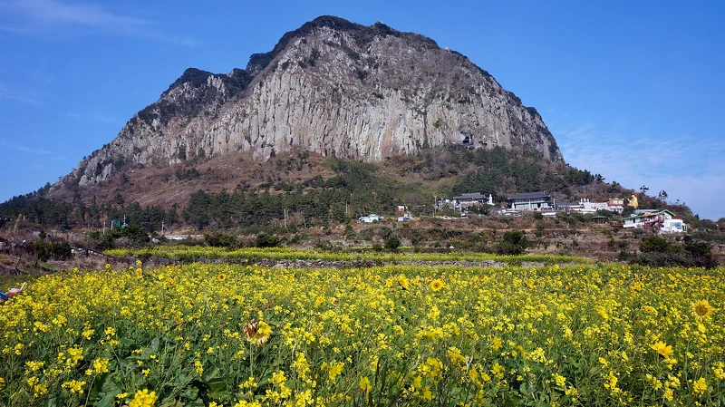 Photo/Visit Jeju官網。 Photo/Visit Jeju官網。