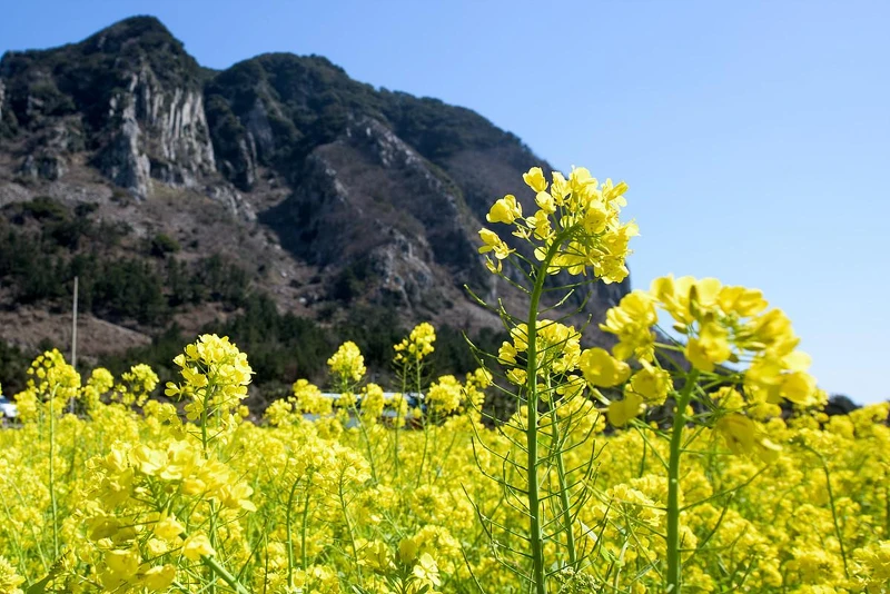 Photo/翻攝自Naver Map Photo/翻攝自Naver Map