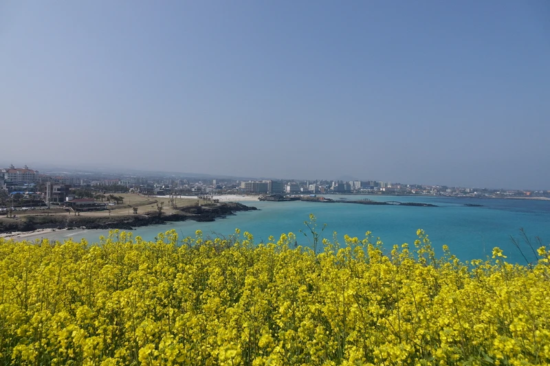 Photo/Visit Jeju官網。 Photo/Visit Jeju官網。