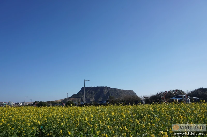 Photo/Visit Jeju官網。 Photo/Visit Jeju官網。