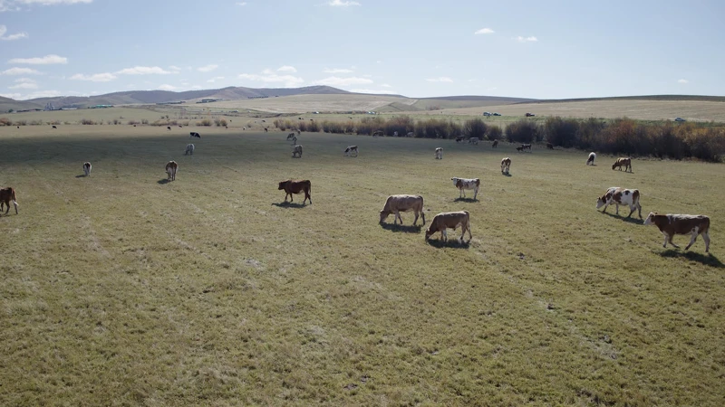 Photo / 塔羅耳語 Photo / 塔羅耳語