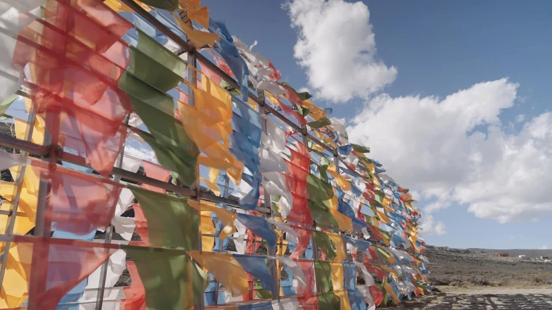 Photo / 塔羅耳語 Photo / 塔羅耳語