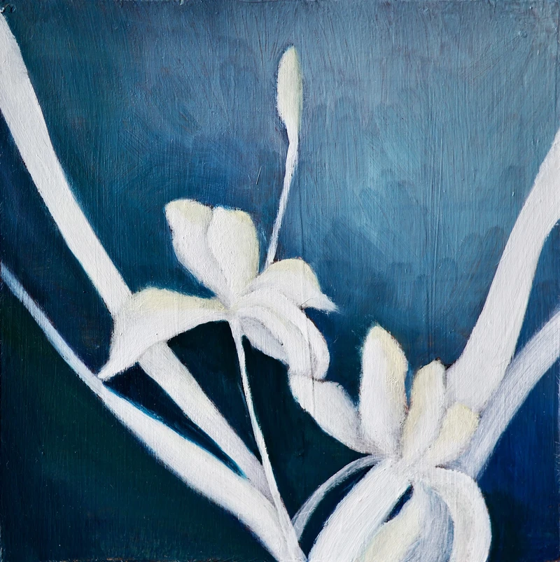 蔡宇貞 月夜裡的花1, 2025 油彩在木板上 單件20 x 20 cm 蔡宇貞 月夜裡的花1, 2025 油彩在木板上 單件20 x 20 cm