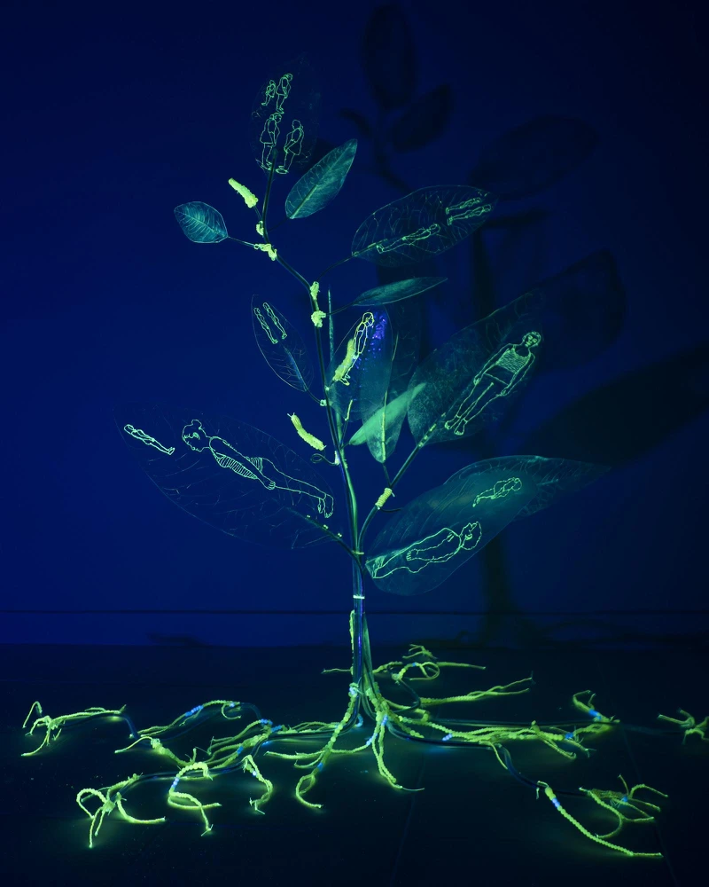 《冰花二》 Ice Plant 2, 2024 手工刺繡、PETG塑料、PU、串珠、不鏽鋼、噴霧、紫外線保護噴霧｜安卓藝術提供