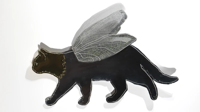 (日光下)《金面貓咪》 Cat with a Golden Face, 2025|安卓藝術提供