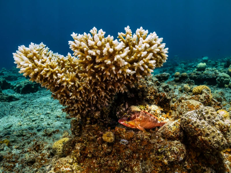 心理測驗|人際相處中你散發什麼樣的光芒?測測看你自帶的 Spotlight|© Getty Images 心理測驗|人際相處中你散發什麼樣的光芒?測測看你自帶的 Spotlight|© Getty Images