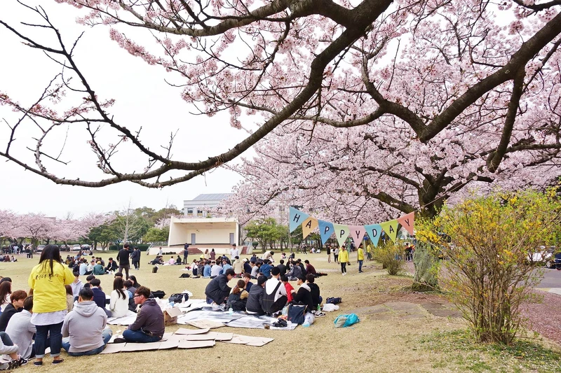 Photo/Visit Jeju官網。 Photo/Visit Jeju官網。