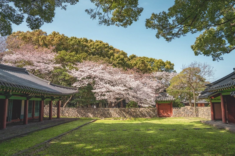 Photo/Visit Jeju官網。 Photo/Visit Jeju官網。