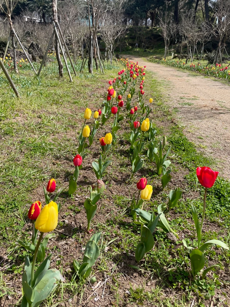 Photo/Julia。 Photo/Julia。