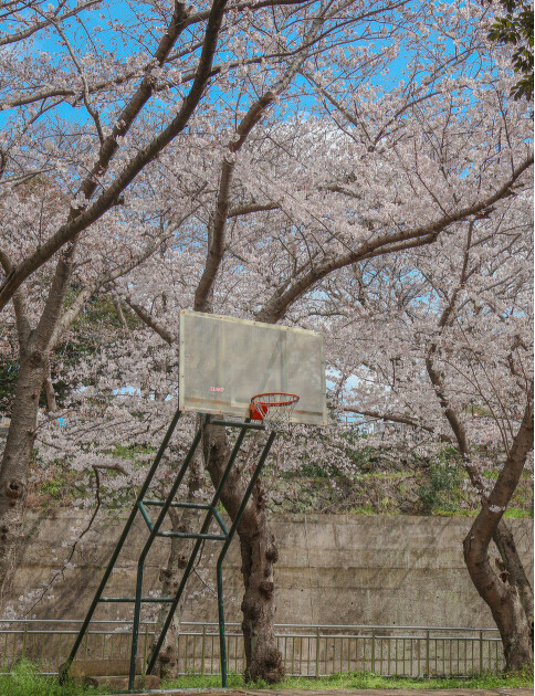 Photo/翻攝自Naver Map Photo/翻攝自Naver Map