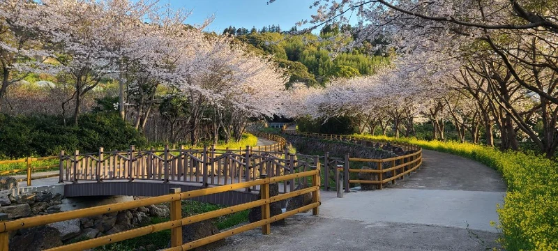 Photo/Visit Jeju官網。 Photo/Visit Jeju官網。