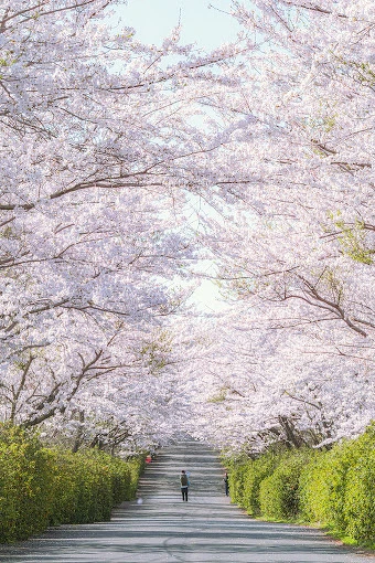 Photo/翻攝自Google Map Photo/翻攝自Google Map