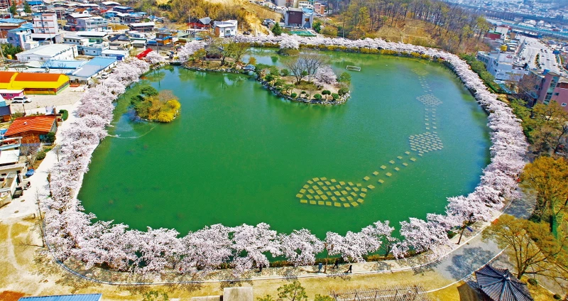 Photo/翻攝自韓國觀光公社。