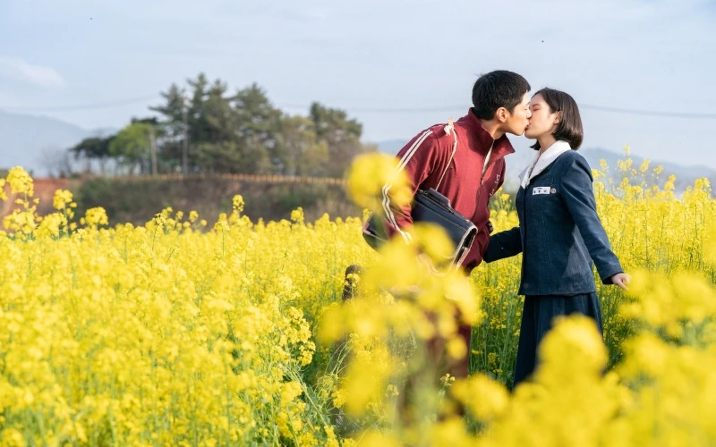 《苦盡柑來遇見你》朴寶劍 IU ©Netflix