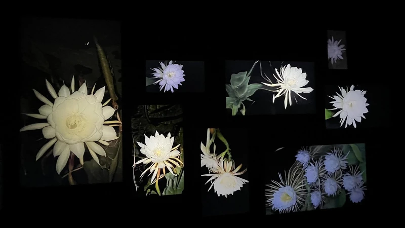 Melody TU 採訪拍攝