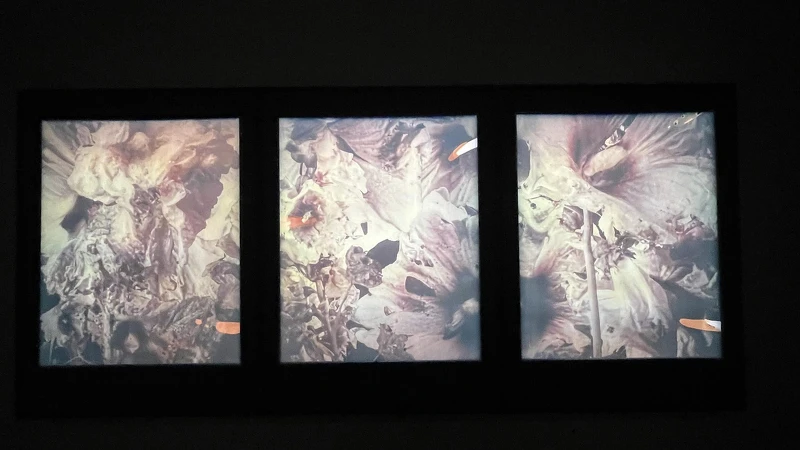 Melody TU 採訪拍攝