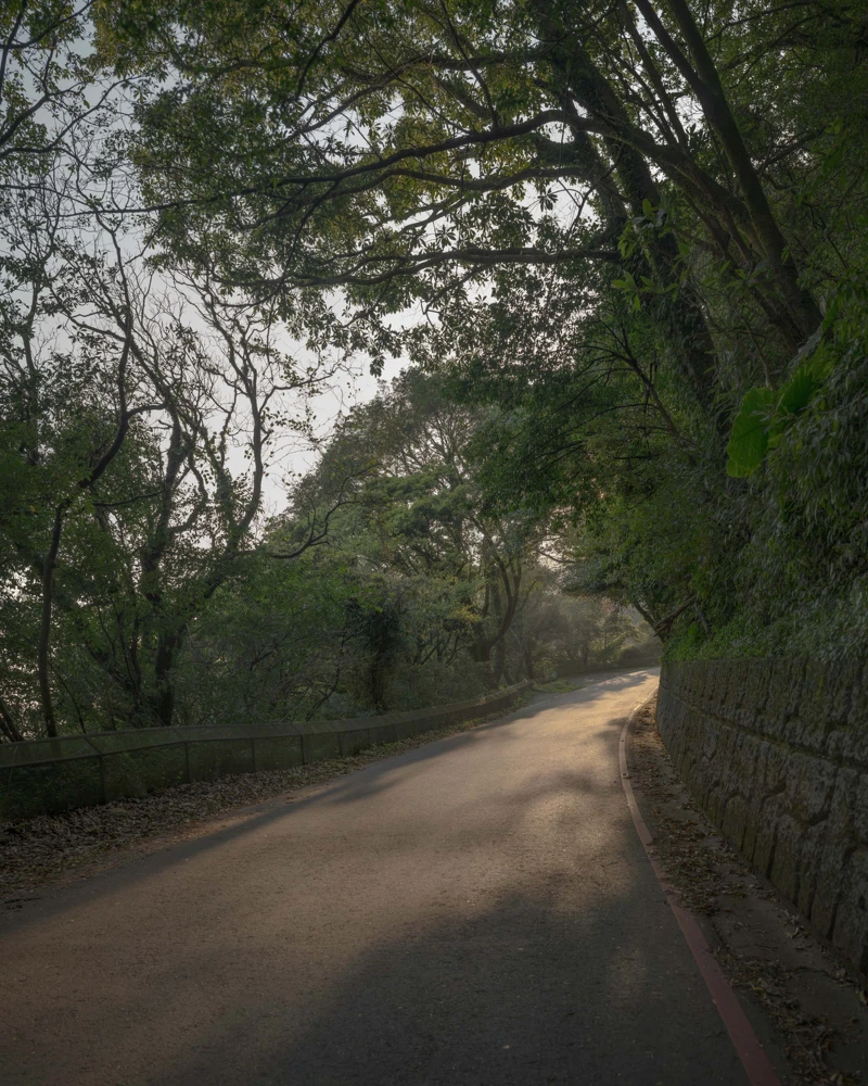 羅晟文，《看路》，2024，尋寶遊戲：攝影、錄像裝置、珠寶飾品、印刷品，尺寸依場地而定。圖像由藝術家提供。