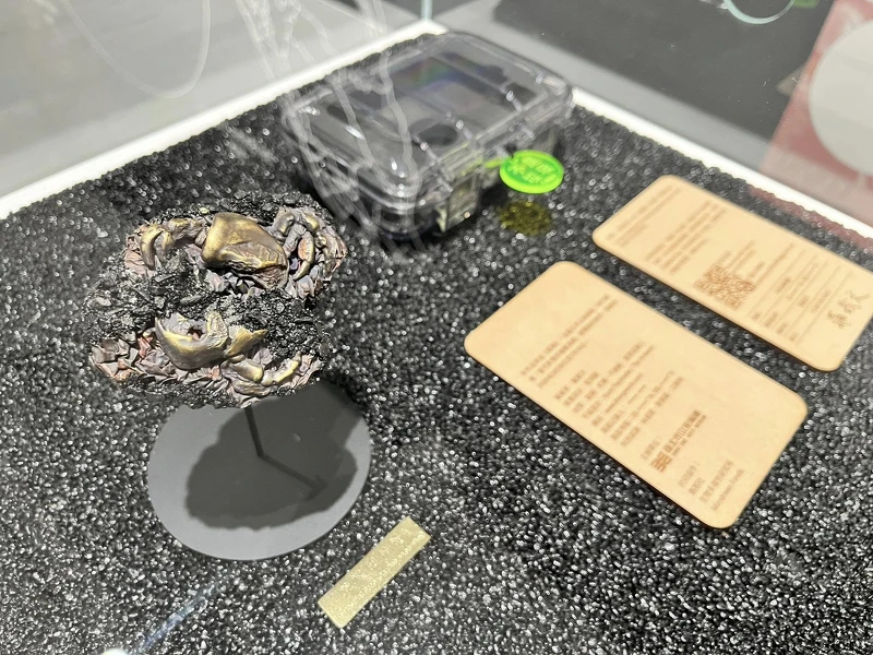 Melody TU 採訪拍攝