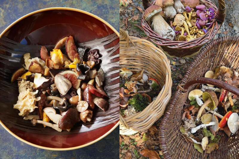 他擅長把森林中的野蕈、山間的草本、在地的自然食材作為創作靈感。 他擅長把森林中的野蕈、山間的草本、在地的自然食材作為創作靈感。