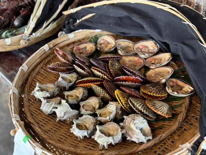 產自伊勢志摩海的扇貝與蠑螺,由海女奶奶掌握完美炭烤火候,美味上桌。 產自伊勢志摩海的扇貝與蠑螺,由海女奶奶掌握完美炭烤火候,美味上桌。