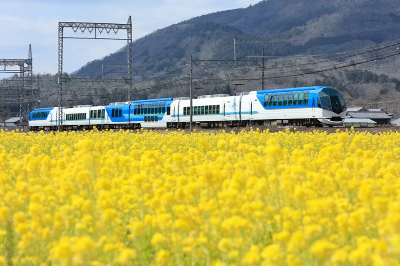 近畿鐵路的觀光特急列車SHIMAKAZE島風號,外觀是清爽的藍白色,帶你直奔賢島的海景。 近畿鐵路的觀光特急列車SHIMAKAZE島風號,外觀是清爽的藍白色,帶你直奔賢島的海景。