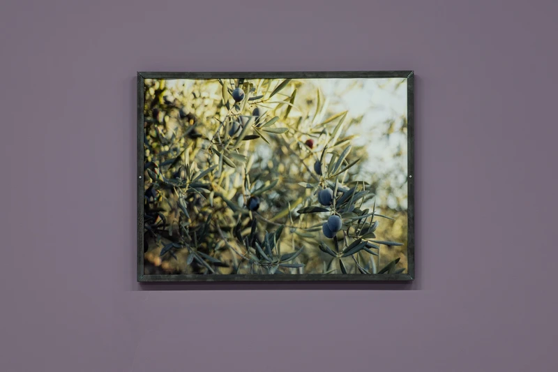 黃麗音，《粒粒》，2025，C型印刷、低碳鋼、木頭，83 × 63 × 2公分。圖像由北美館提供。