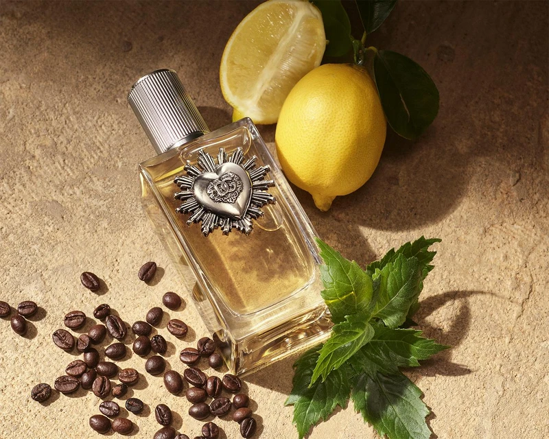 Dolce & Gabbana摯愛男性淡香精50ml,NT3,800、100ml,NT4,800 Dolce & Gabbana摯愛男性淡香精50ml,NT3,800、100ml,NT4,800