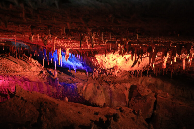 共耗費五年時間挖掘出來的面不動鍾乳洞,被指定為奈良縣特別天然紀念物,在洞內,可以欣賞經過數萬年形成的壯麗景觀。 共耗費五年時間挖掘出來的面不動鍾乳洞,被指定為奈良縣特別天然紀念物,在洞內,可以欣賞經過數萬年形成的壯麗景觀。
