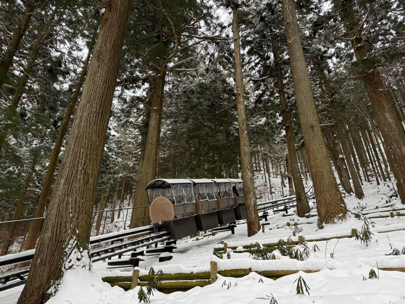 搭乘超陡小火車上山一探鐘乳石洞,幸運的話沿途可以看到野鹿。 搭乘超陡小火車上山一探鐘乳石洞,幸運的話沿途可以看到野鹿。