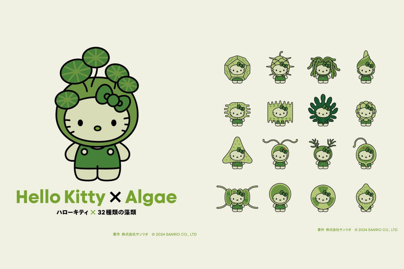 藻類 Hello Kitty 意圖讓人荷包失控!  藻類 Hello Kitty 意圖讓人荷包失控!
