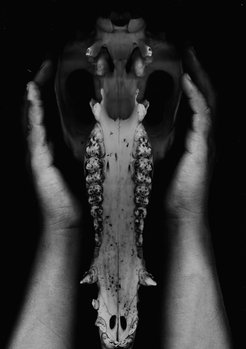 分享｜© 版權屬藝術家所有