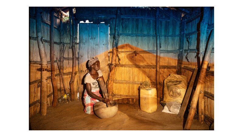 ⓒPiermartiri + Delille/Institute