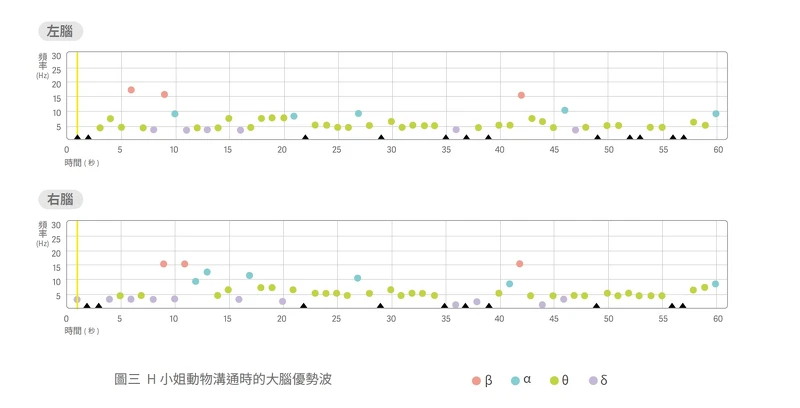 H小姐動物溝通時的大腦優勢波