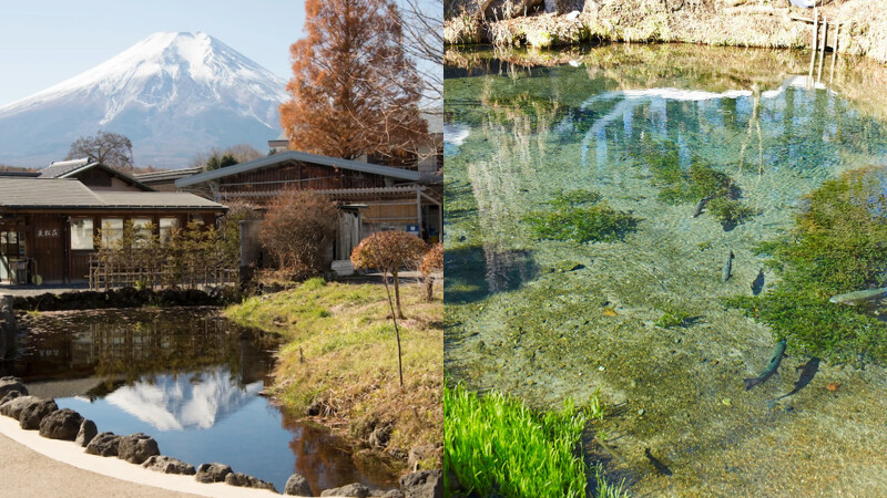 Photo／日本觀光局 Visit Japan from Taiwan