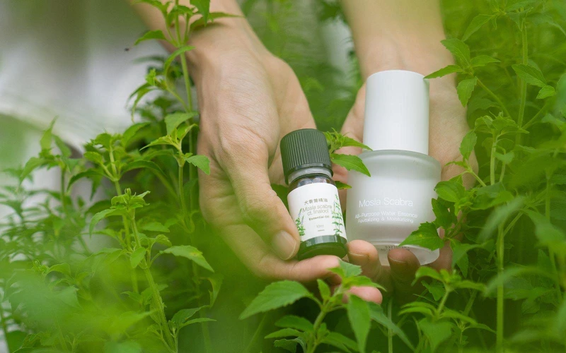 肯園2024年推出犬香薷純精油及精華液商品,開啟更多人認識犬香薷原始植萃魅力。 肯園2024年推出犬香薷純精油及精華液商品,開啟更多人認識犬香薷原始植萃魅力。